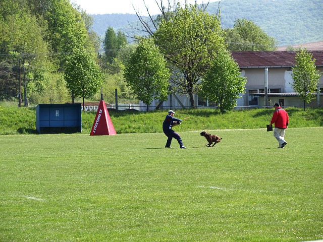 www.atibox.net * www.euroboxer.eu * www.boxergenealogia.eu